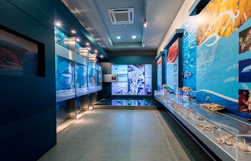 Alexandroupolis Natural History Museum