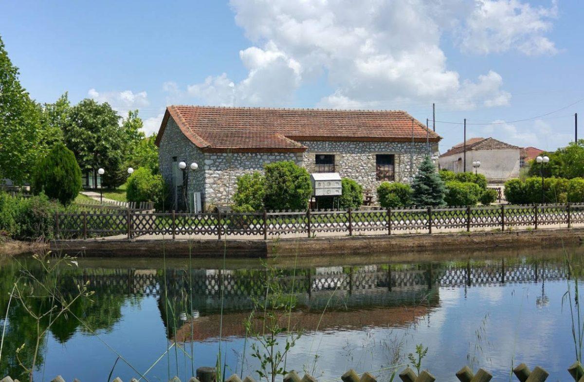 Milopotamos Aquarium Drama