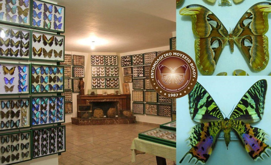 Volos Entomological Museum