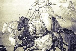 Cynisca_by_Sophie_de_Renneville