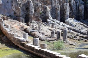 Oeniad vertical wickimedia